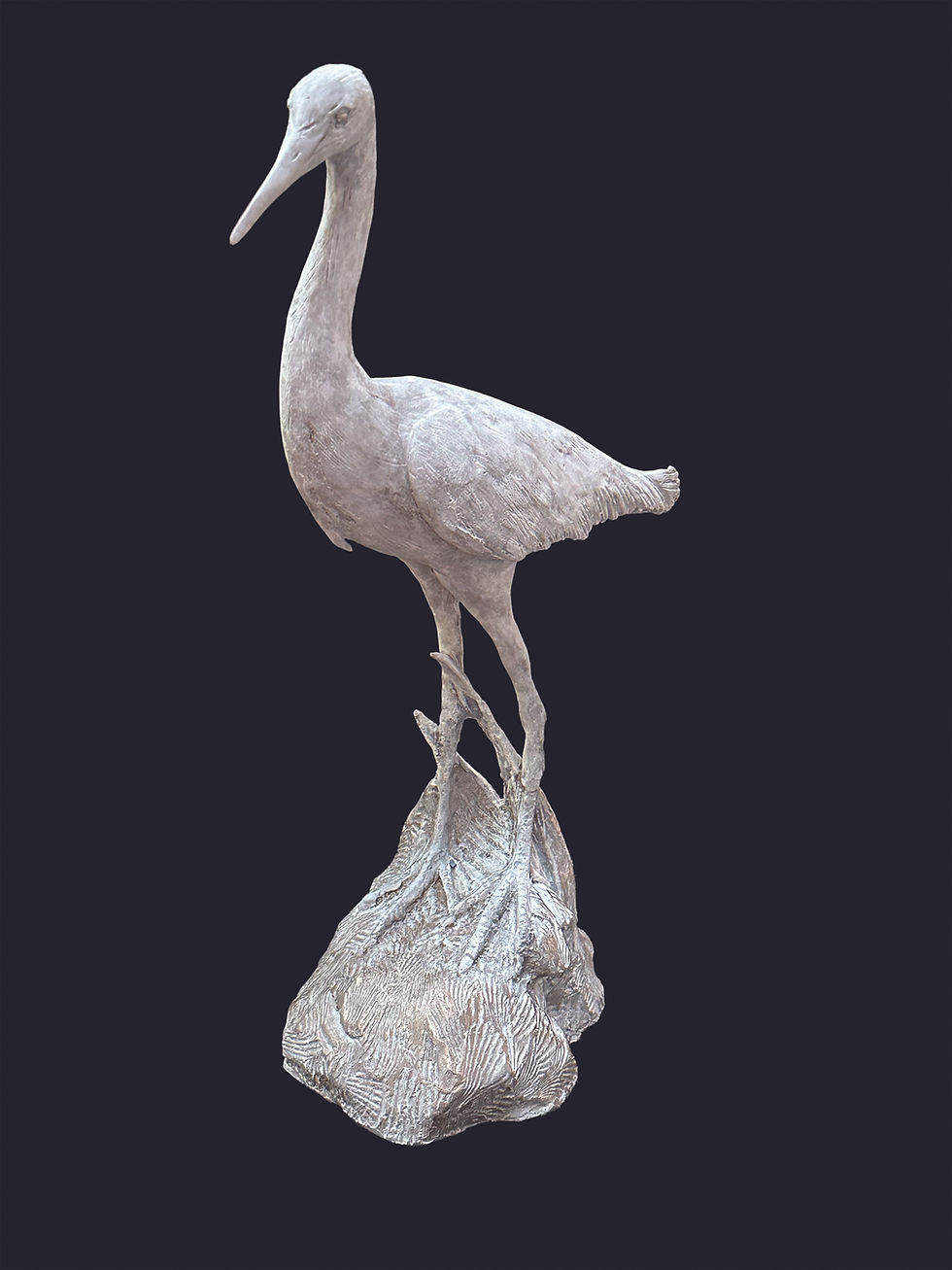 "Little White Heron"