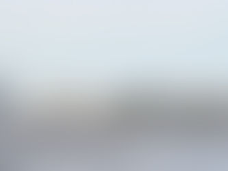 Cruise eller Barcode?