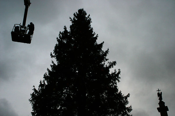 sveta_yuferova_christmas_tree.jpg