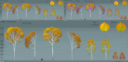 aspen_final_general_shapes