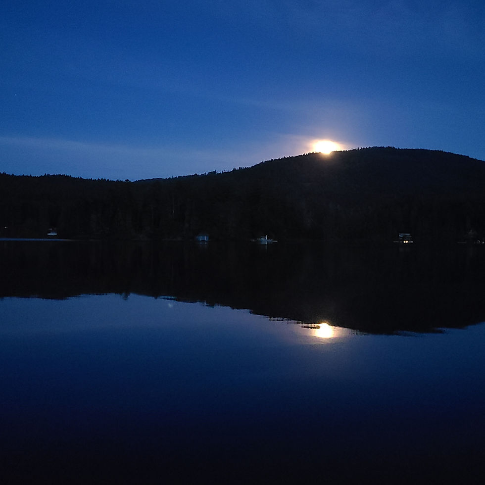 Vacation Rental Cabins Shawnigan Lake Vintage Cabins