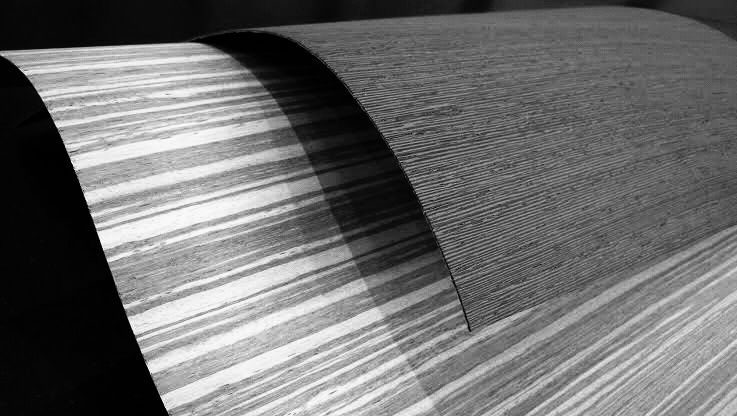 Thumbnail: The American Walnut
