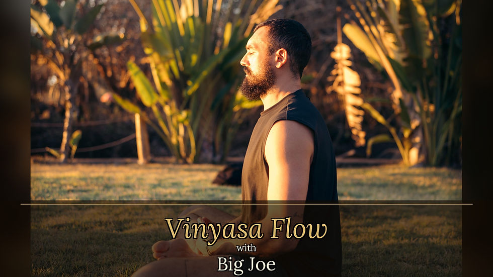 Vinyasa Flow with Big Joe