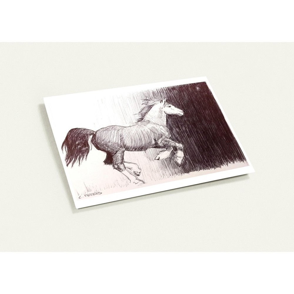 Pack of 10 Greeting Cards (US & CA)