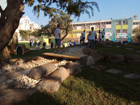 טובלים את בתי הספר בירוק ומשנים את פני העיר