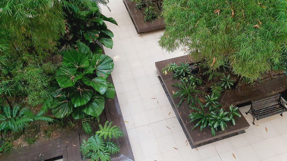 אזורי ישיבה סביב ערוגות ענקיות בחללי המתנה, הכל כהמשך ישיר לפארק החצר הפנימית