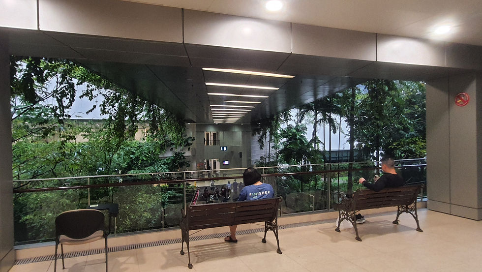 יושבים במסדרונות בקומות העליונות, ממתינים, ומביטים לצמרות העצים מלמטה