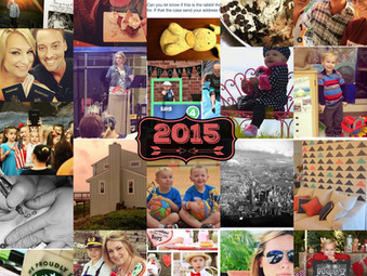 2015 in a Flash