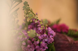 IMG_5666 copy.jpg