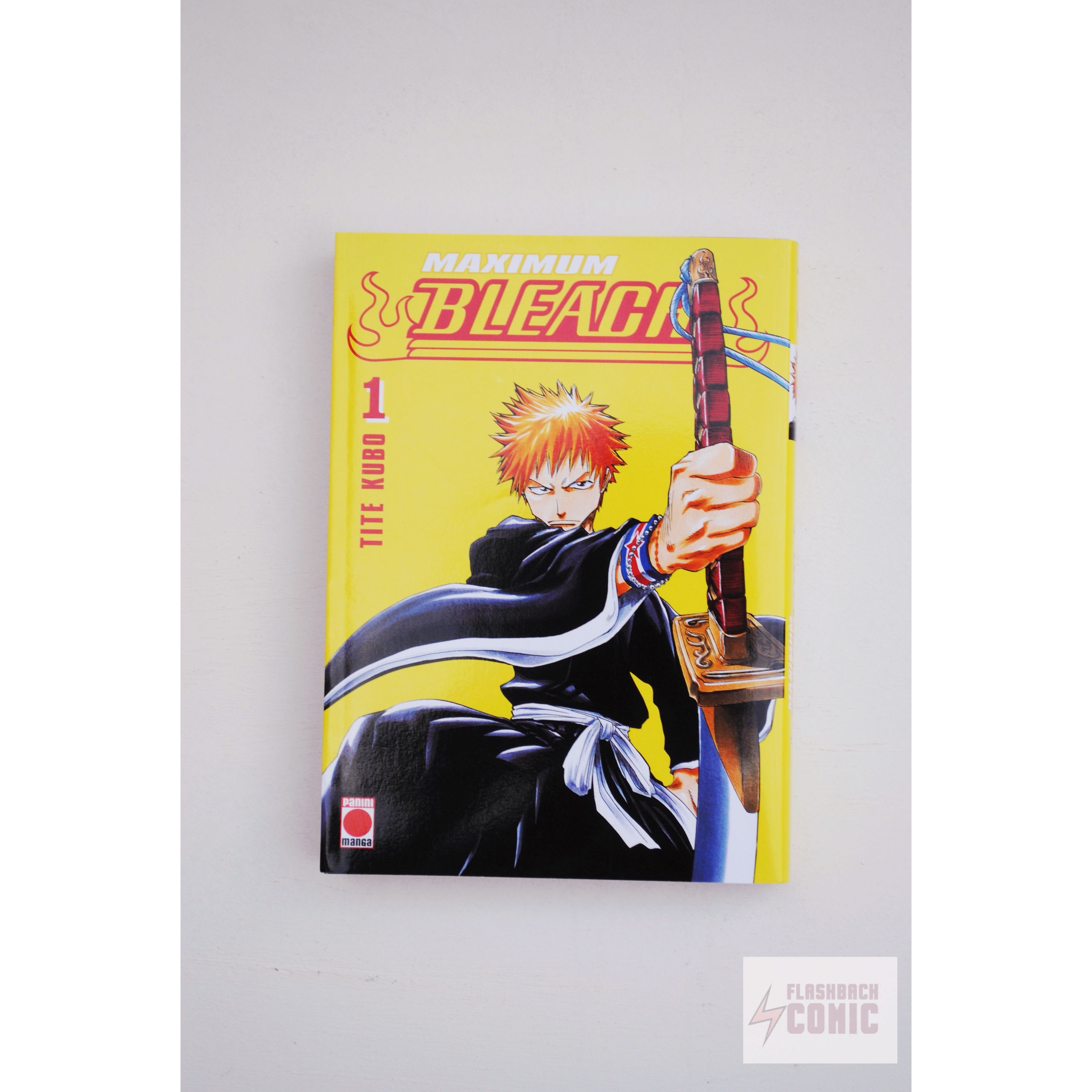 Bleach (edición Maximum) 1