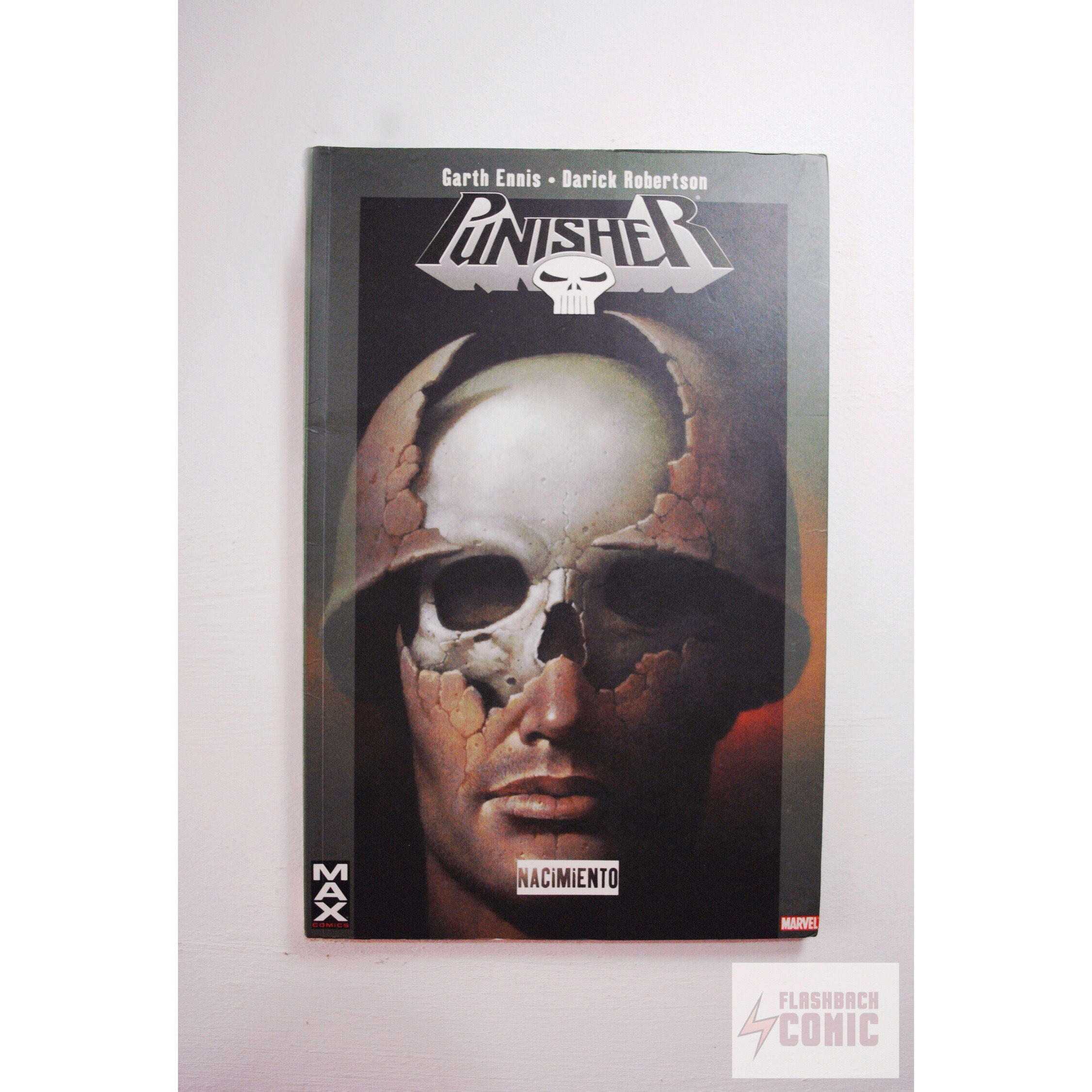 Punisher: Nacimiento