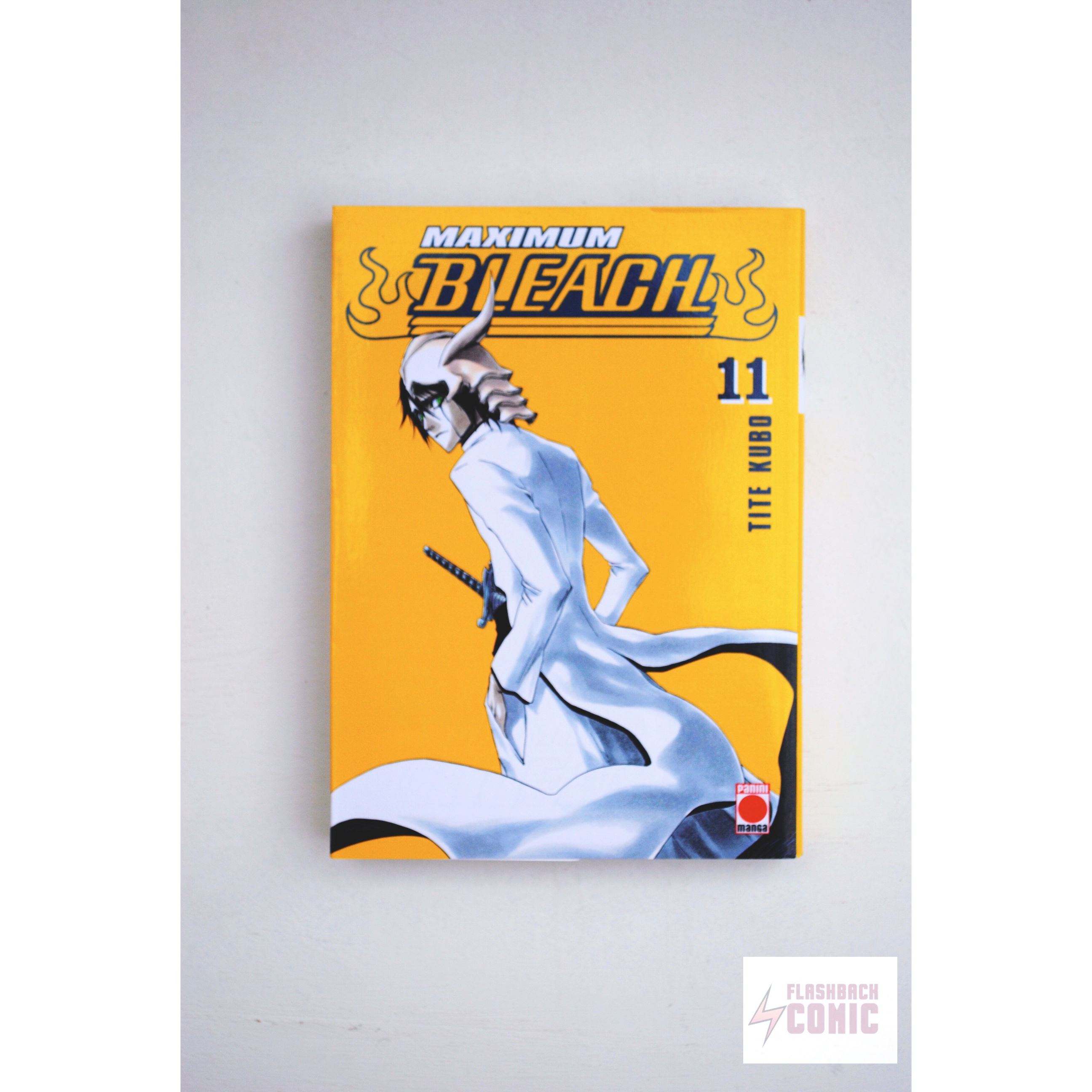 Bleach (edición Maximum) 11