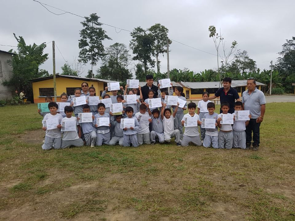 cursos