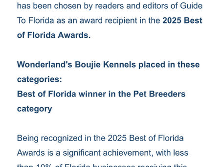 🌟 It’s Official — Florida Has Spoken! 🌟