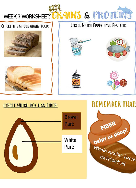 worksheets kids in nutrition