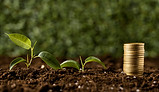coins-stacked-dirt-with-plants.jpg
