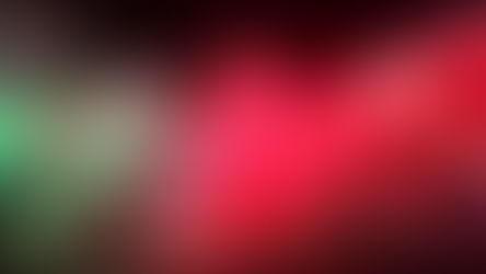 GALLARATE REMIGRAZIONE MANIFESTAZIONE