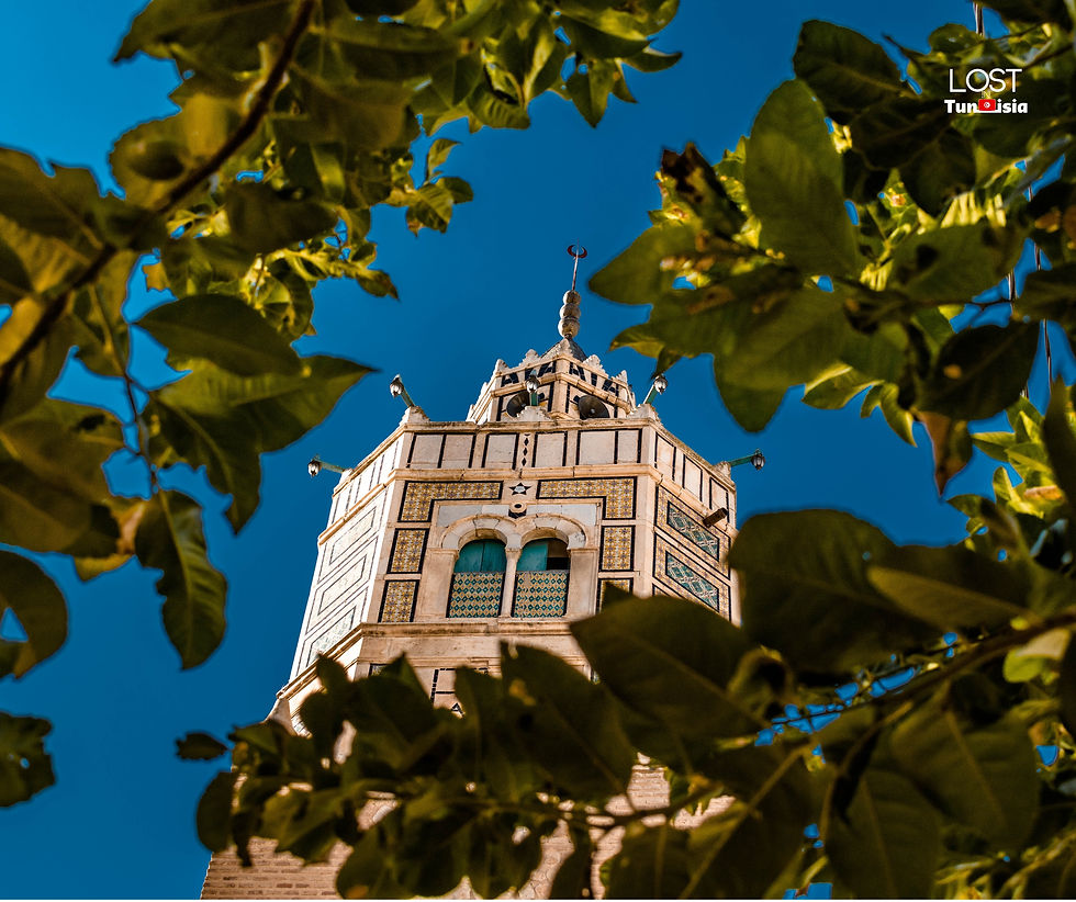 MOSCHEA TESTOUR TUNISIA