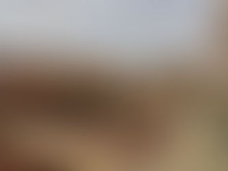 DHL desenvolve projeto GoGreen na Creche Irmã Esther