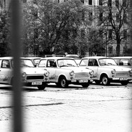 IMG_7577.jpeg