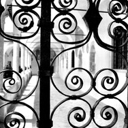 IMG_6586.jpeg
