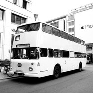 IMG_7574.jpeg