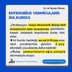 Enterobius  Vermicularis  (Kıl Kurdu) 