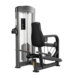 #PWS1615 Seated Chin