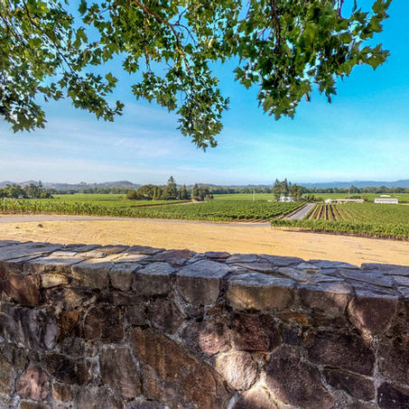 See Inside 3 Winery Wedding Venues In California For Scenic, Stunning, And Serene Ceremonies