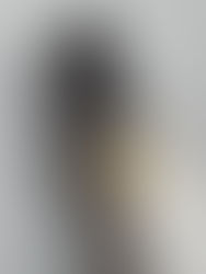 les dernières réalisations de Novembre 2025.