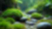 Iwagumi vs Nature Aquarium What Aquascape Style Suits You Best