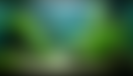 The Essential Guide to Quarantine Tanks for Every Aquarium Hobbyist