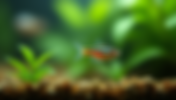 Caring for Neon Tetra Fish Easily: Your Guide to Neon Tetra Care