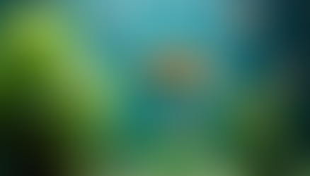 How Monthly Aquarium Maintenance Can Save You Money Over Time