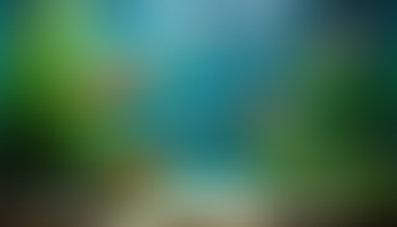 The Ultimate Guide to Cleaning Your Fish Tank: Frequency and Tips