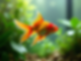 What Do Goldfish Eat? Complete Feeding Guide for Healthy and Happy Goldfish