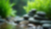 Choosing the Best Hardscape Materials for Your Planted Aquarium