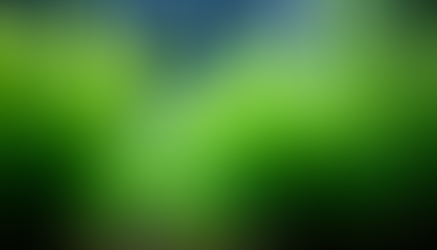 Enhancing Your Aquarium A Guide to the Benefits of Live Plants in Fish Tanks