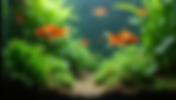 How to Reduce Fish Stress in Aquarium: A Complete Guide for Healthy and Happy Fish