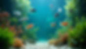 The Calming Benefits of Aquariums for Stress Relief and Anxiety Management