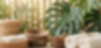 Gemini_Generated_Image_p884ubp884ubp884_edited.jpg