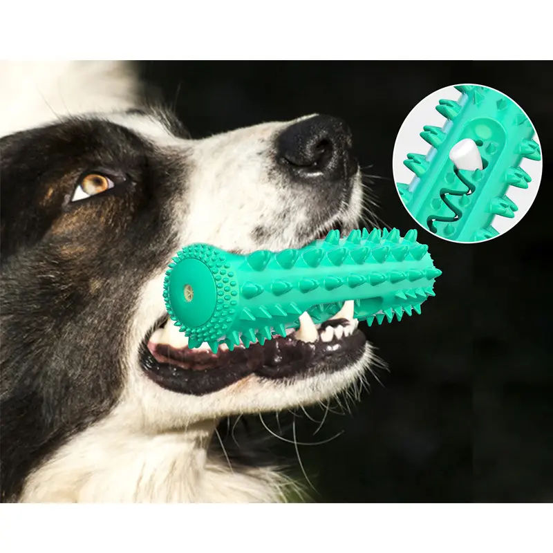 Black and white dog holding a turquoise spiky durable dog chew toy in its mouth, designed for dental cleaning and treat-stuff