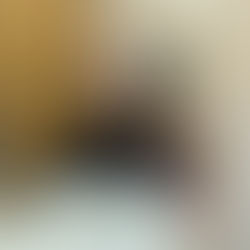 Nicole takes a mirror selfie with a black band t-shirt on.