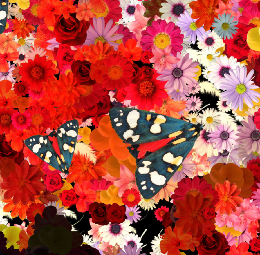 Miniature : FRIDA AUX FLEURS 1 40x40