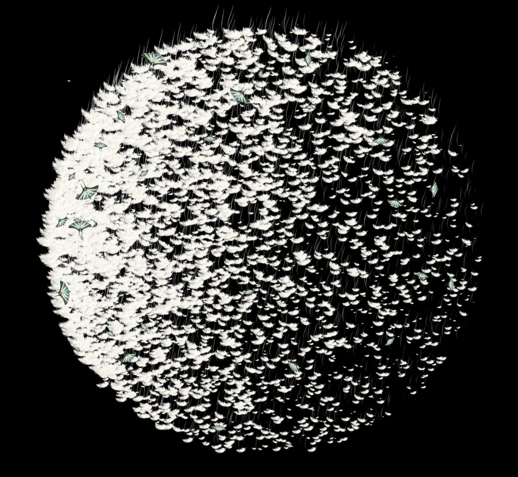 CALAMUS OU LA PLANÈTE DE PLUMES 40 x 40