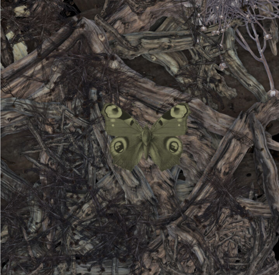 Miniature : CHIMPANZEE OUT OF WOODS 80x80