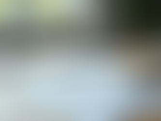 Where to Find Ready-to-Use HR Templates to Purchase HR Templates for Your Business