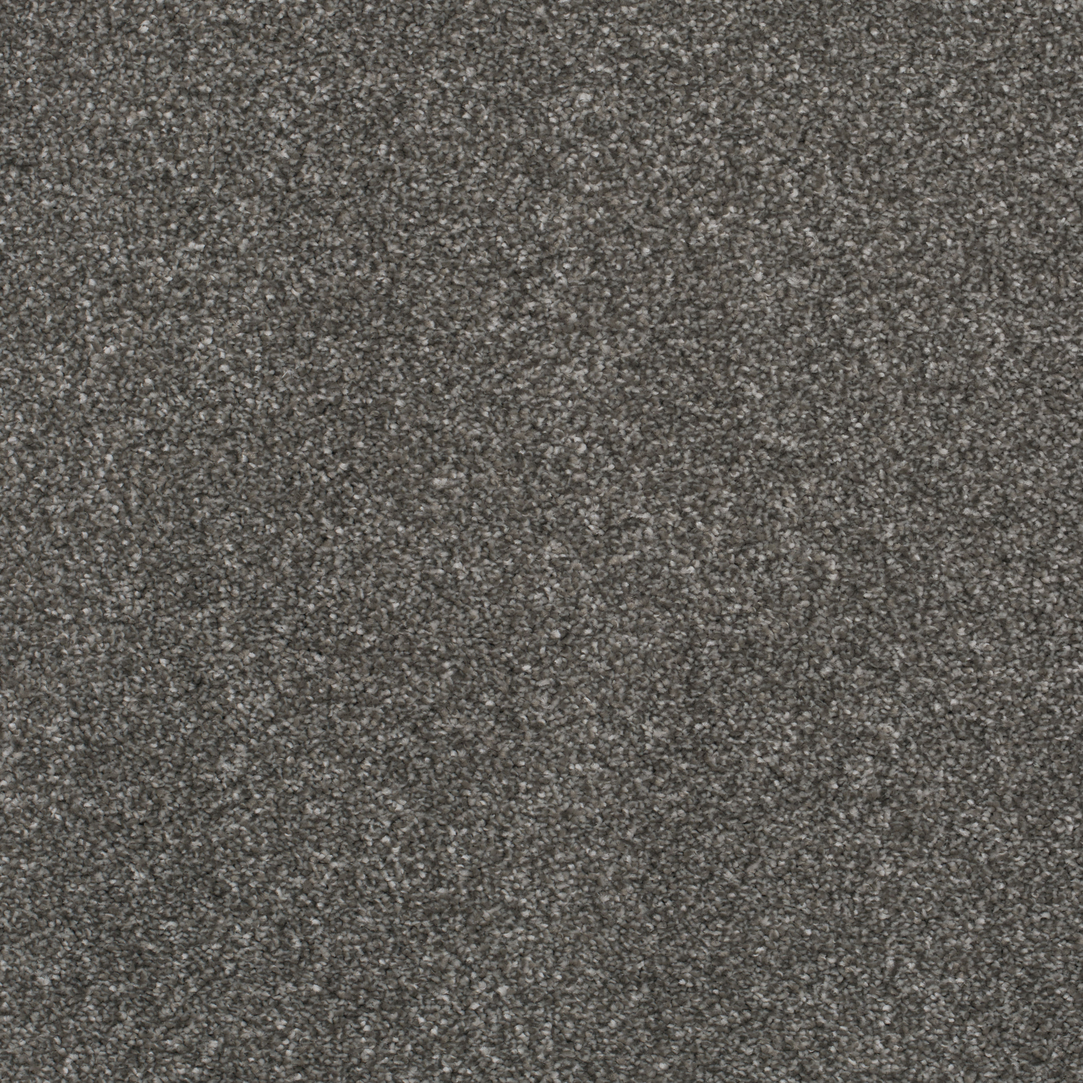 First Impressions - Chatterbox