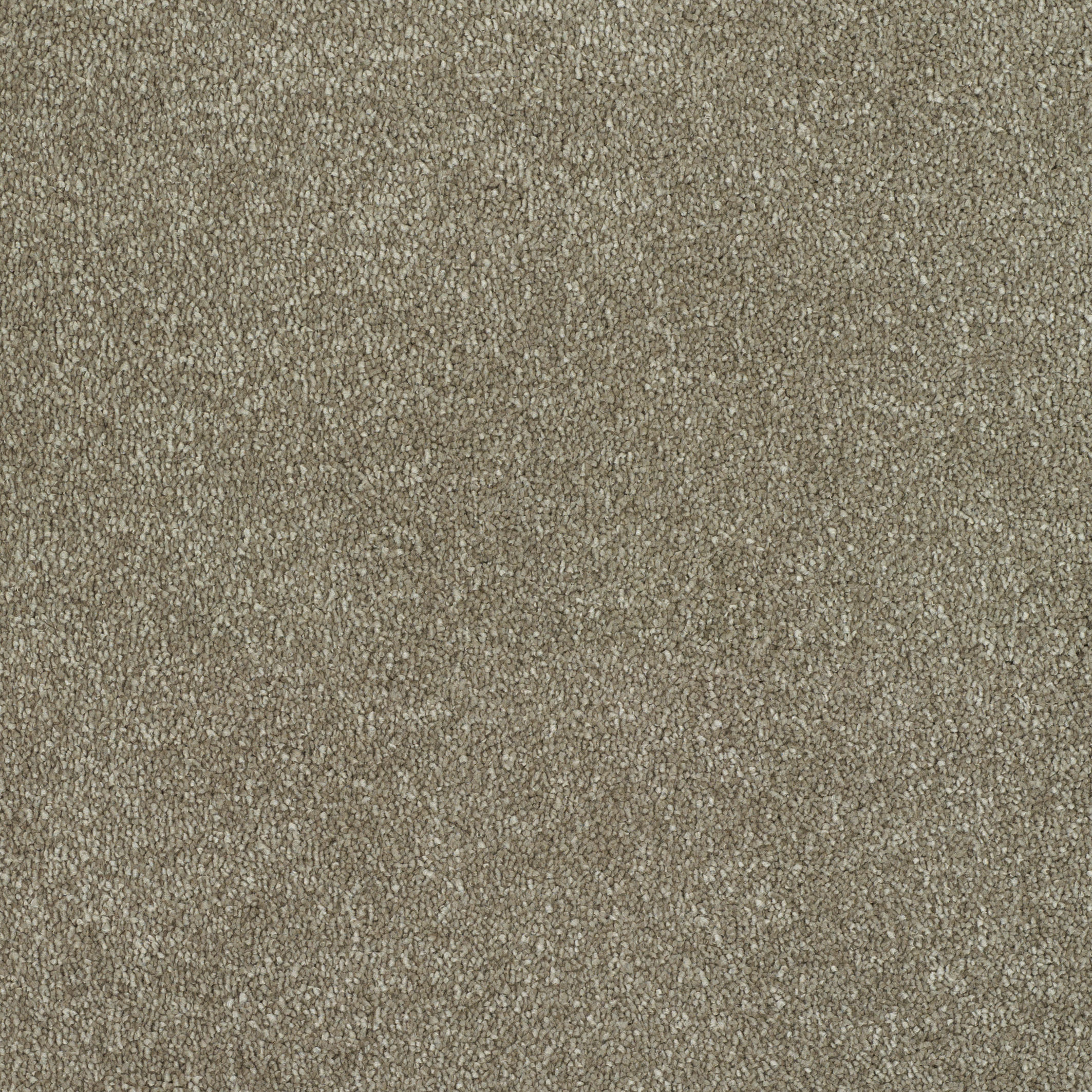 Victoria Carpets - Ultimate Expressions, Taupe