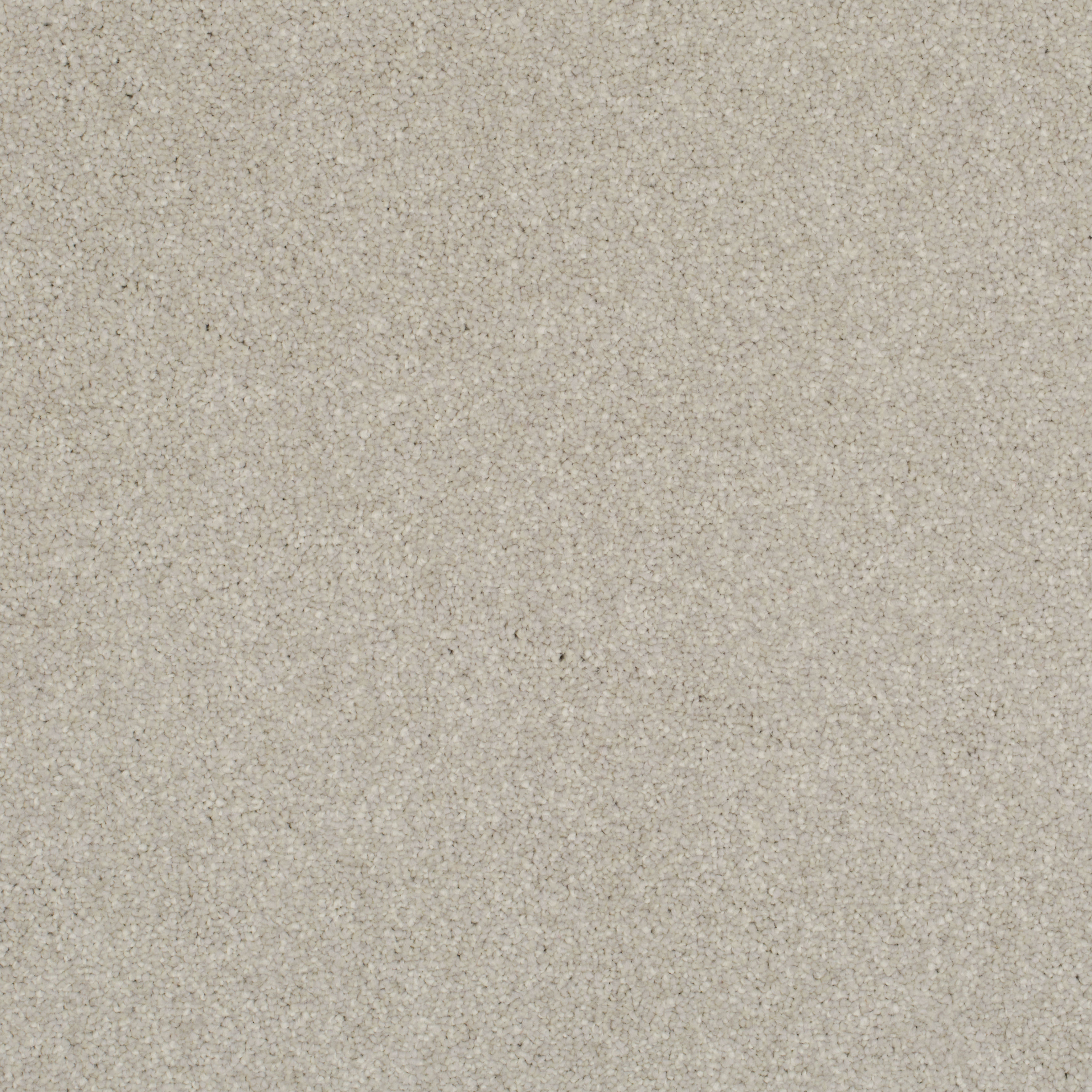 Victoria Carpets - Pioneer, Brave